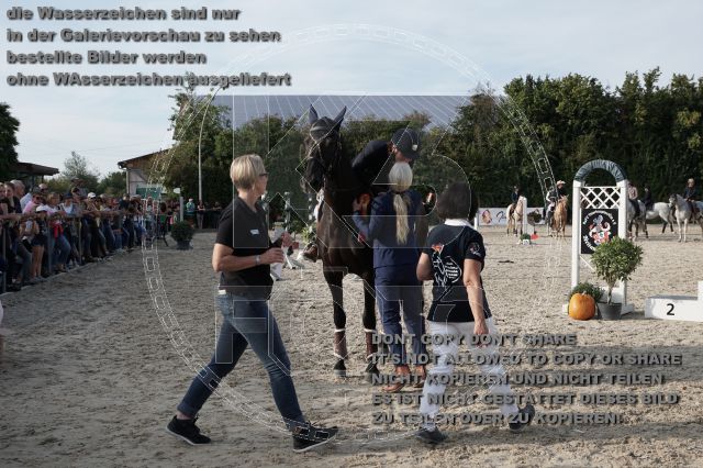 a_DSC06552.JPG